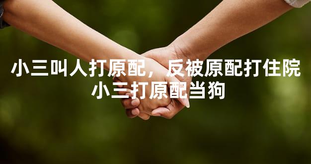 小三叫人打原配，反被原配打住院 小三打原配当狗
